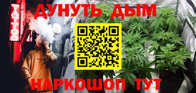 стаф Краснодар