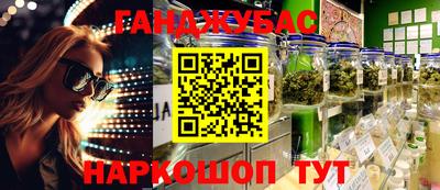 стаф Краснодар