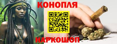 стаф Краснодар