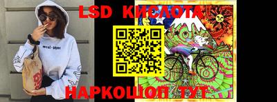 стаф Краснодар