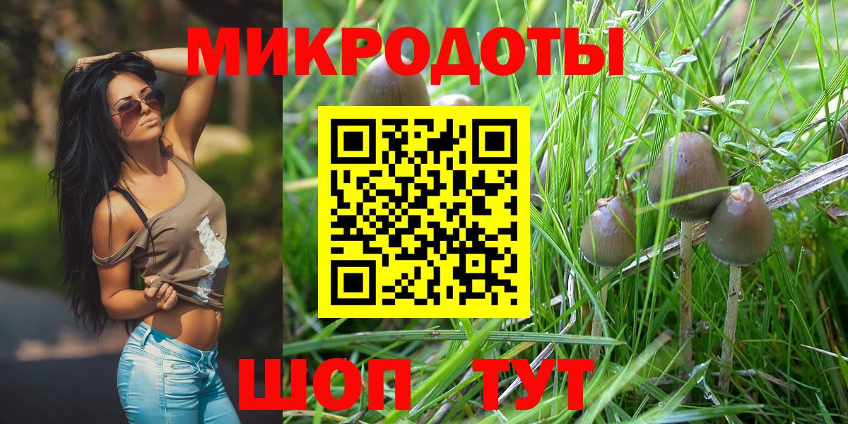 Когалым  Псилоцибиновые грибы MAGIC MUSHROOMS  Вход с VPN  Псилоцибиновые грибы мицелий 
